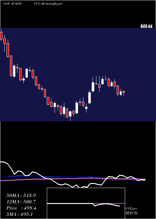 weekly chart AvadhSug
