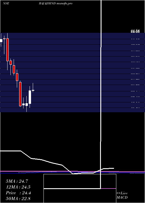 monthly chart BajajHindusthan