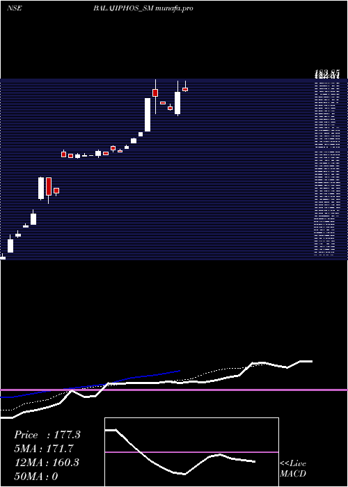 Daily chart BalajiPhosphates