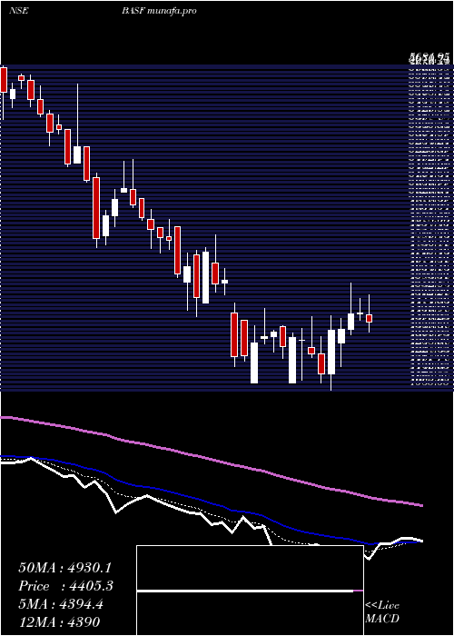  Daily chart BasfIndia