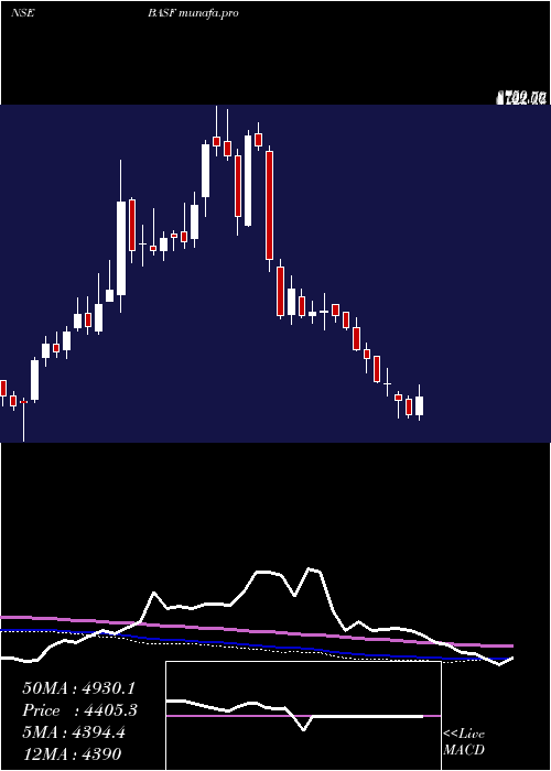  weekly chart BasfIndia