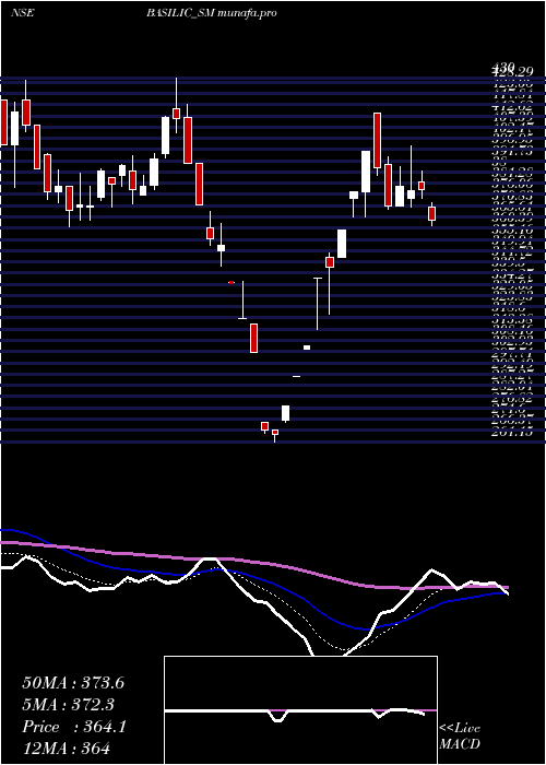 Daily chart BasilicFly