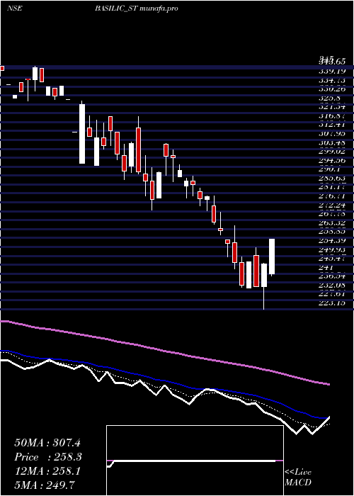  Daily chart BasilicFly