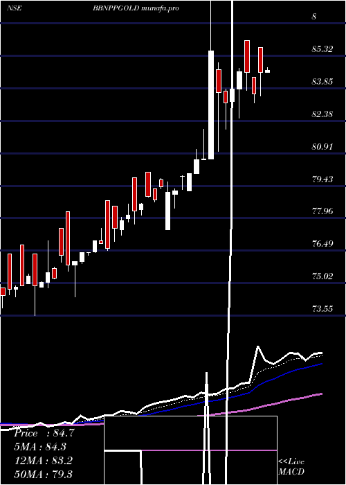  Daily chart BarodabnpBbnppgold