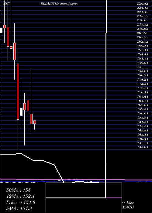 monthly chart BedmuthaIndustries