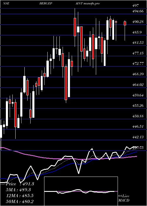  Daily chart BergerPaints