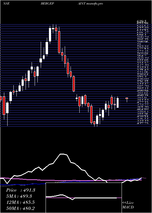  weekly chart BergerPaints