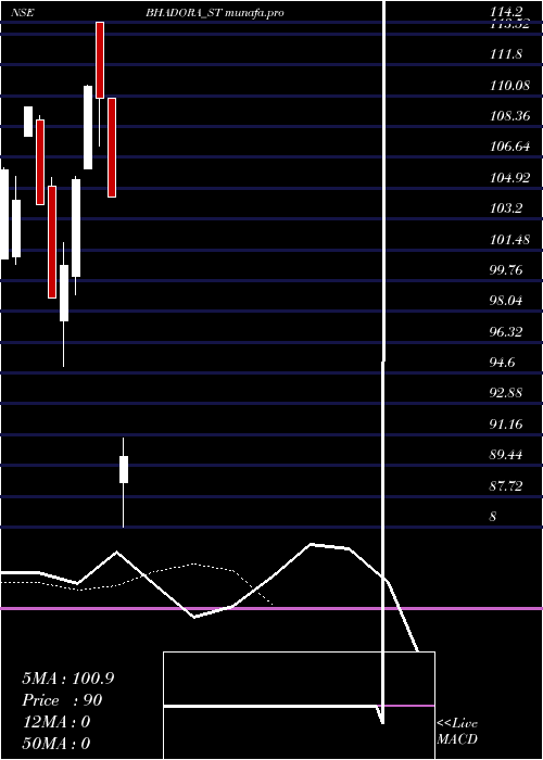  Daily chart BhadoraIndustries