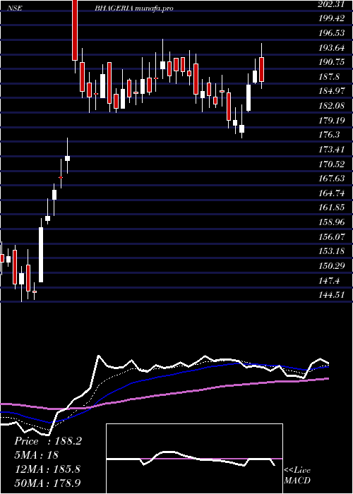  Daily chart BhageriaIndustries