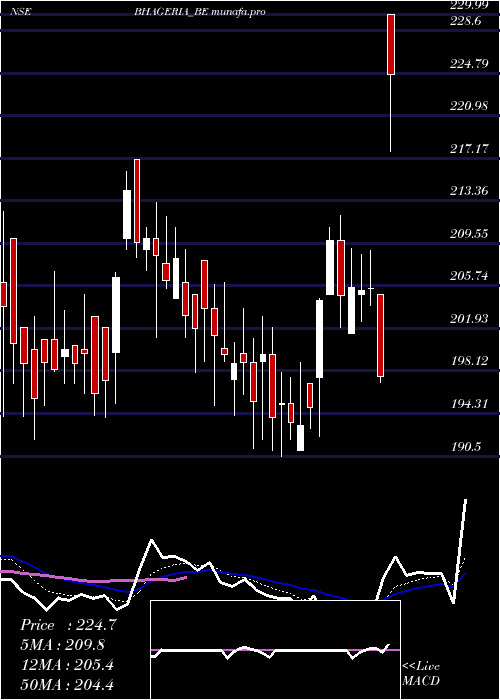  Daily chart BhageriaIndustries