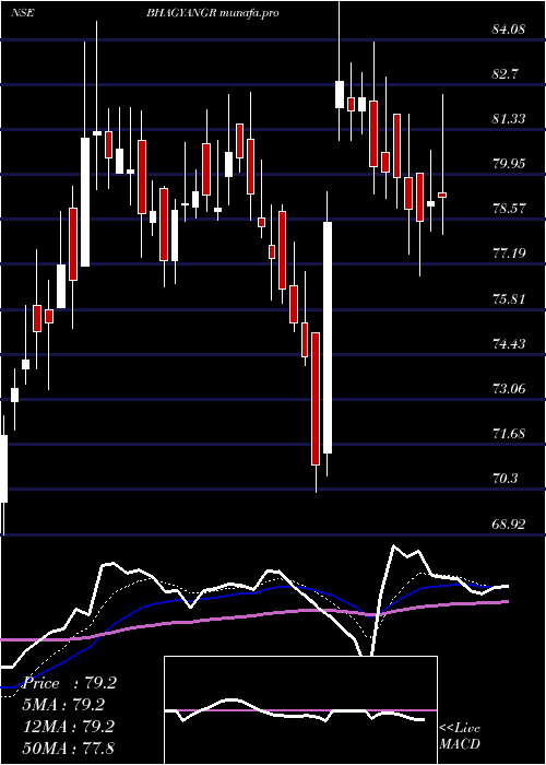 Daily chart BhagyanagarIndia