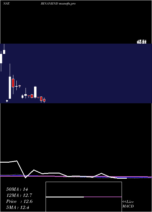  monthly chart BinaniIndustries