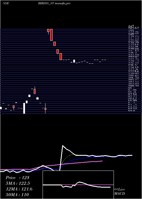 Daily chart GrillSplendour