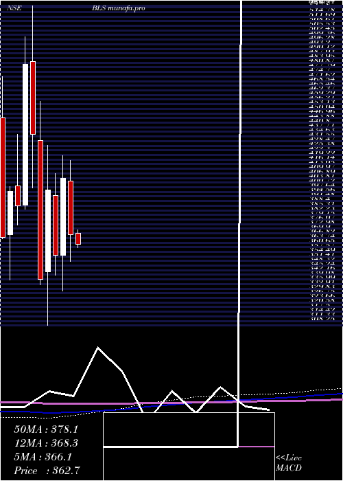 monthly chart BlsInternat