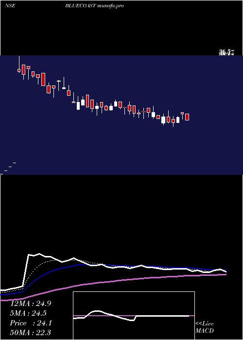  Daily chart BlueCoast