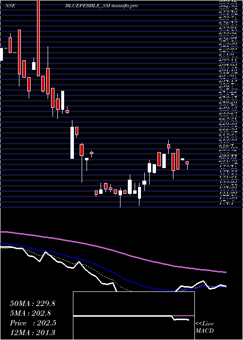 Daily chart BluePebble