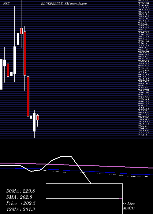 monthly chart BluePebble