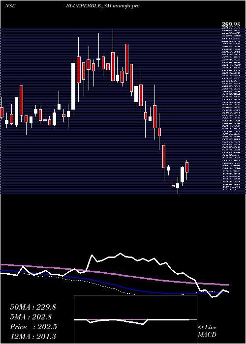 weekly chart BluePebble