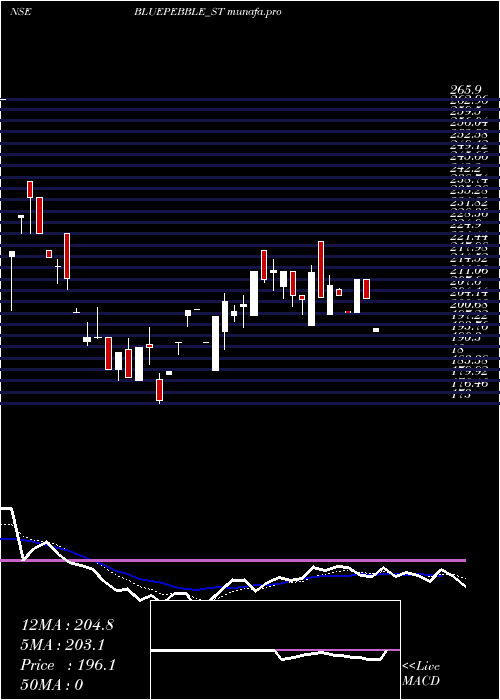 Daily chart BluePebble