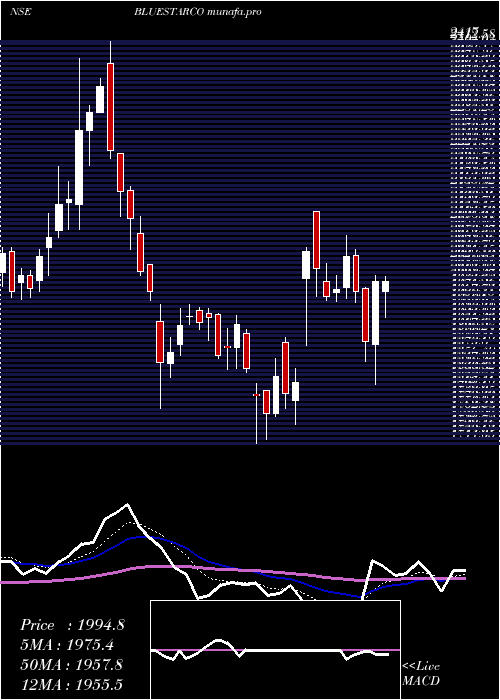  Daily chart BlueStar