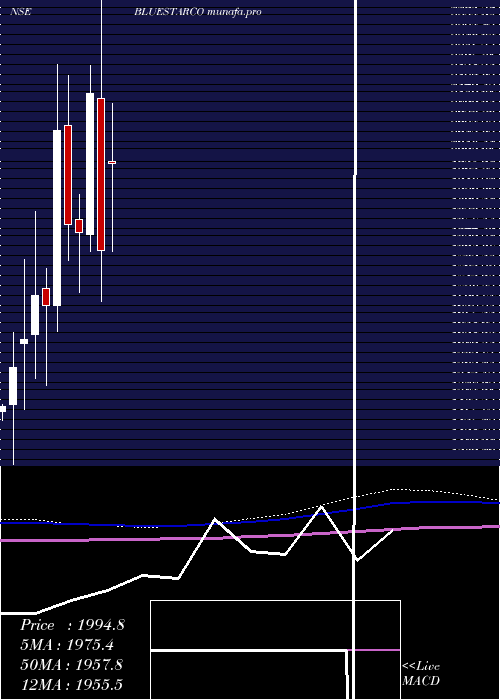  monthly chart BlueStar