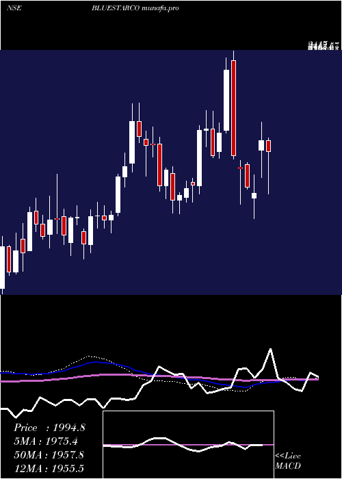  weekly chart BlueStar