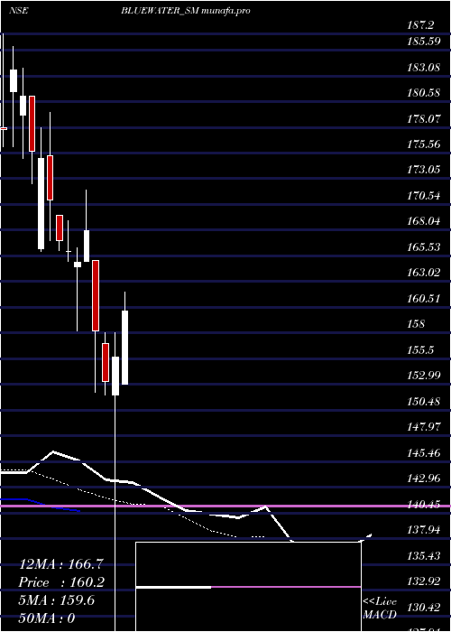  Daily chart BlueWater