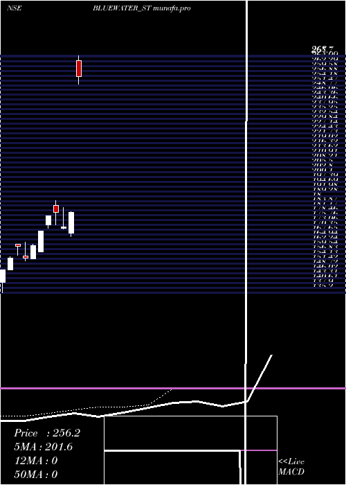  Daily chart BlueWater