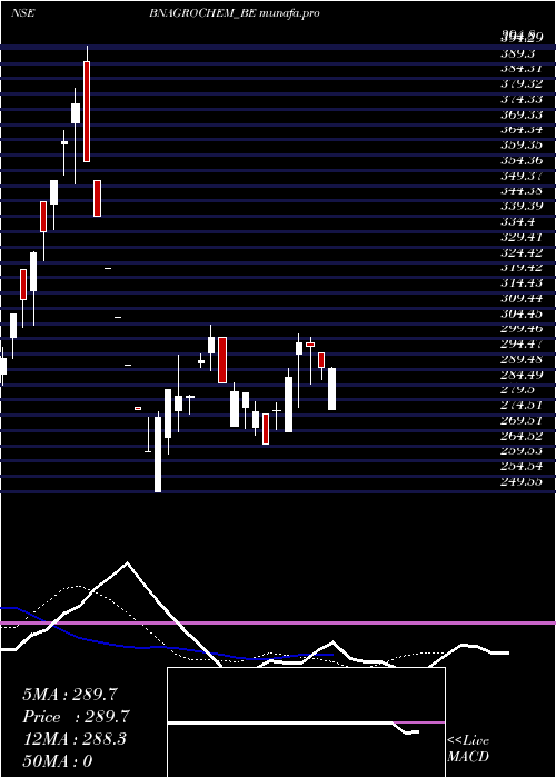  Daily chart BnAgrochem