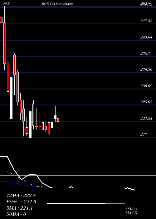 Daily chart BoranaWeaves