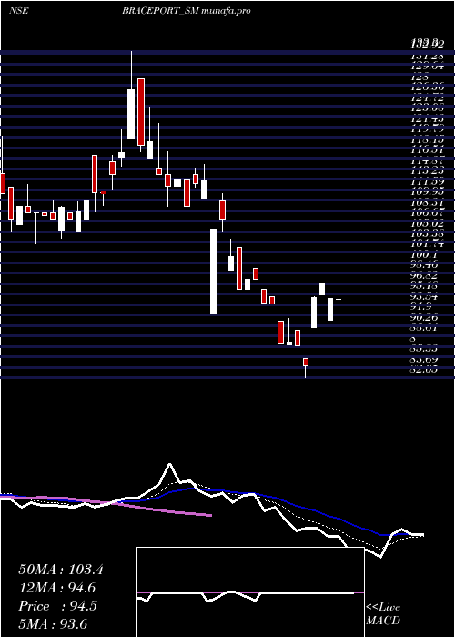 Daily chart BracePort