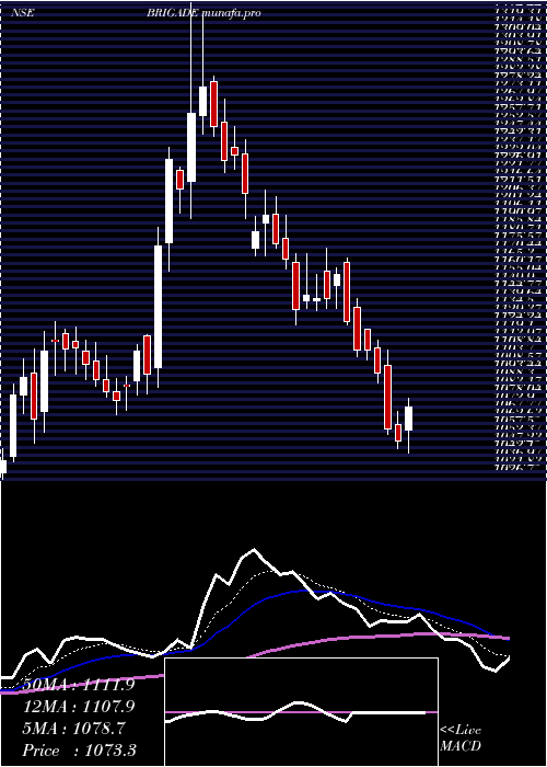  Daily chart BrigadeEnterprises