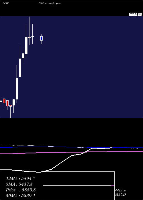  monthly chart Bse