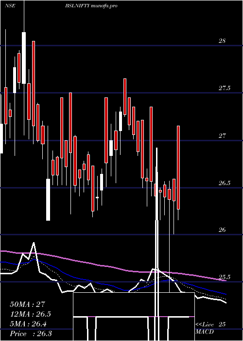  Daily chart BirlaSun