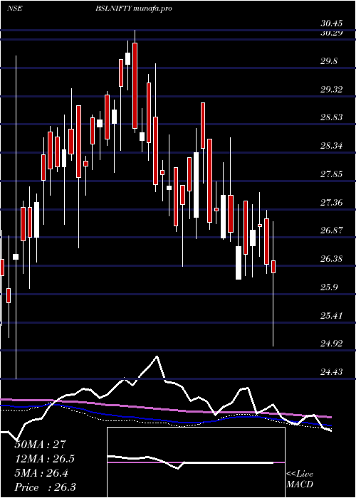  weekly chart BirlaSun