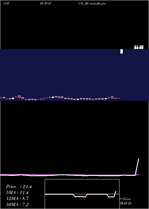  Daily chart BurnpurCement