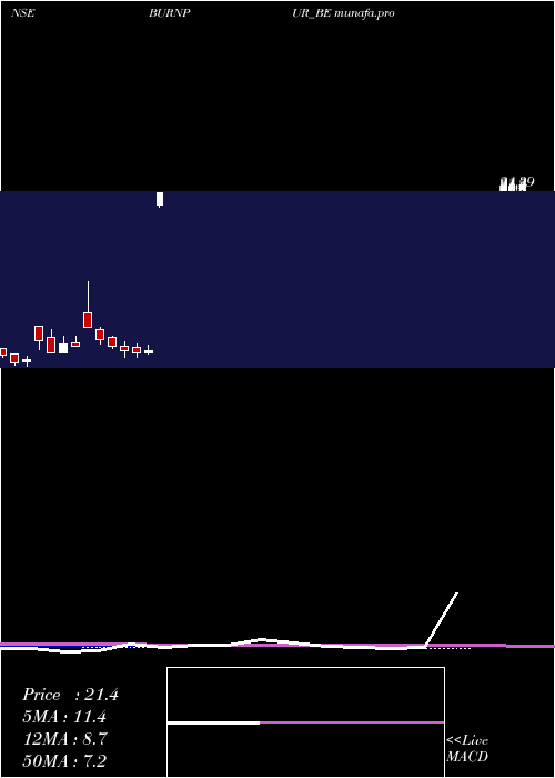  monthly chart BurnpurCement