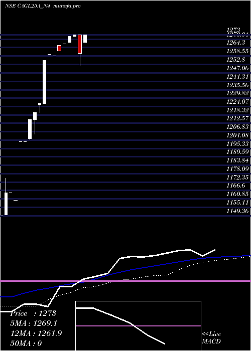 weekly chart SecRe