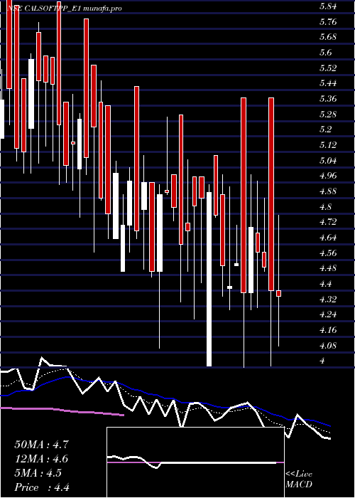 Daily chart CalsoftRs