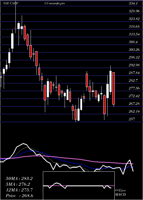  Daily chart CampusActivewear