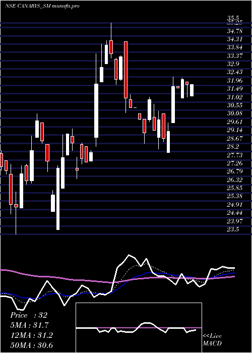 Daily chart CanarysAutomations