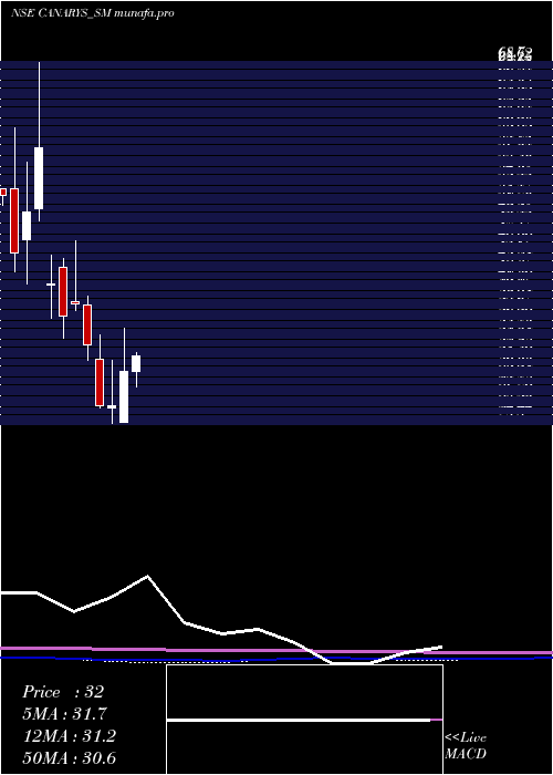 monthly chart CanarysAutomations