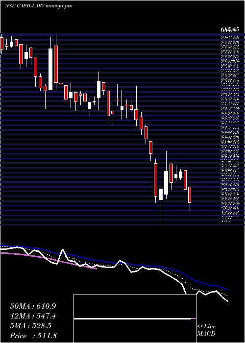  Daily chart CapillaryTechno