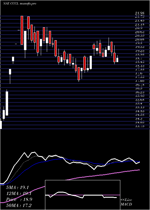  Daily chart ConsolidatedConstruction