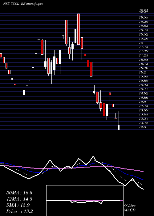  Daily chart ConsConst