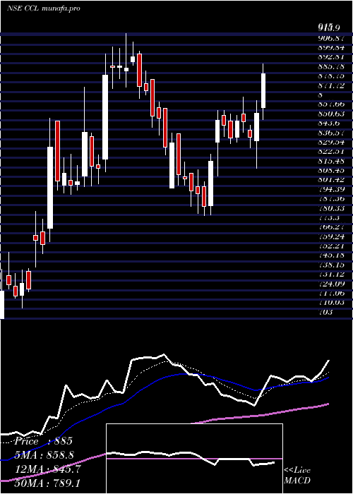  Daily chart CclProducts