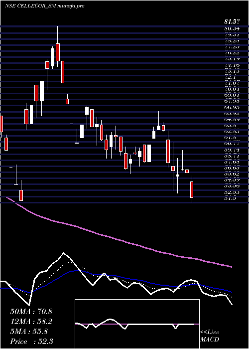  Daily chart CellecorGadgets