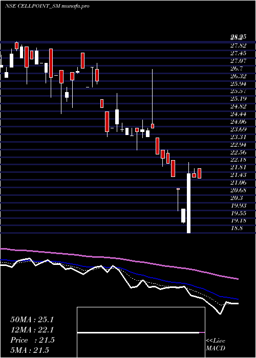  Daily chart CellPoint