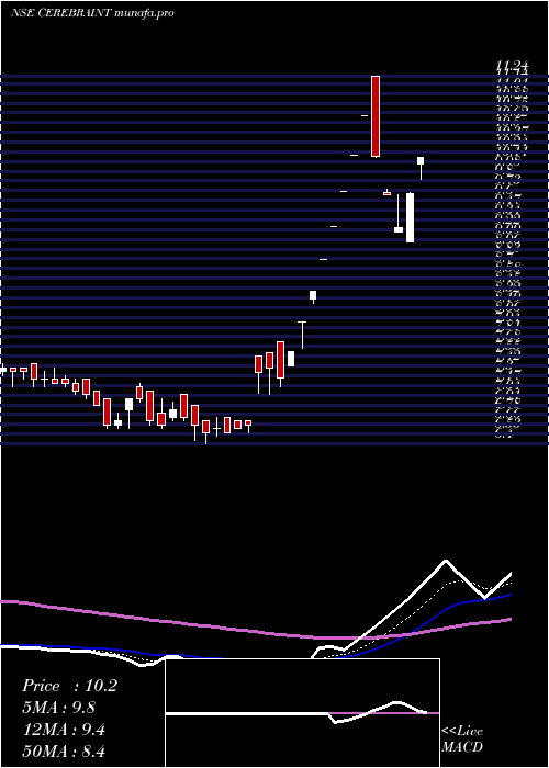  Daily chart CerebraIntegrated