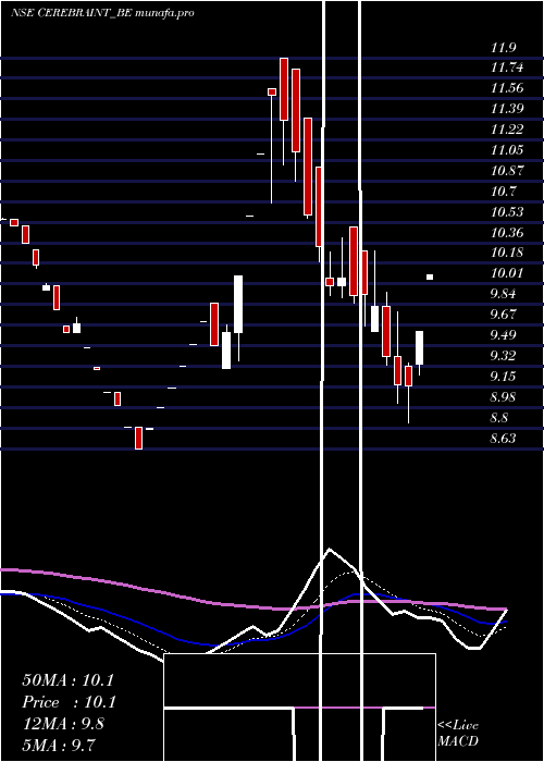  Daily chart CerebraInt